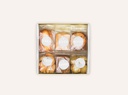 Golden Biscuit Box.